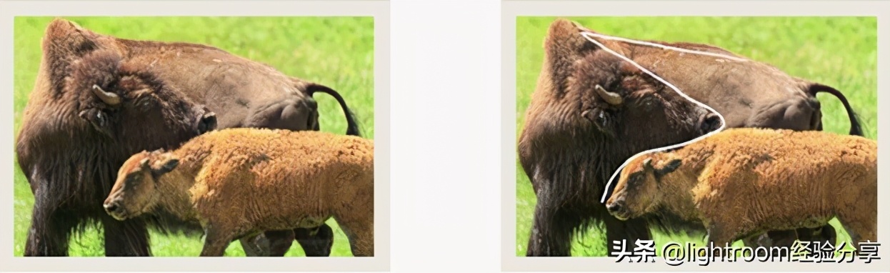 曲线构图有哪些特点,曲线构图怎么拍