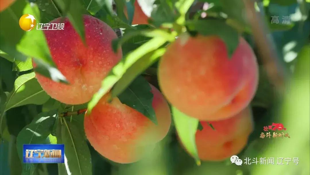 壮丽70年奋斗新时代现场,辽宁省丹东市宣传片大美丹东