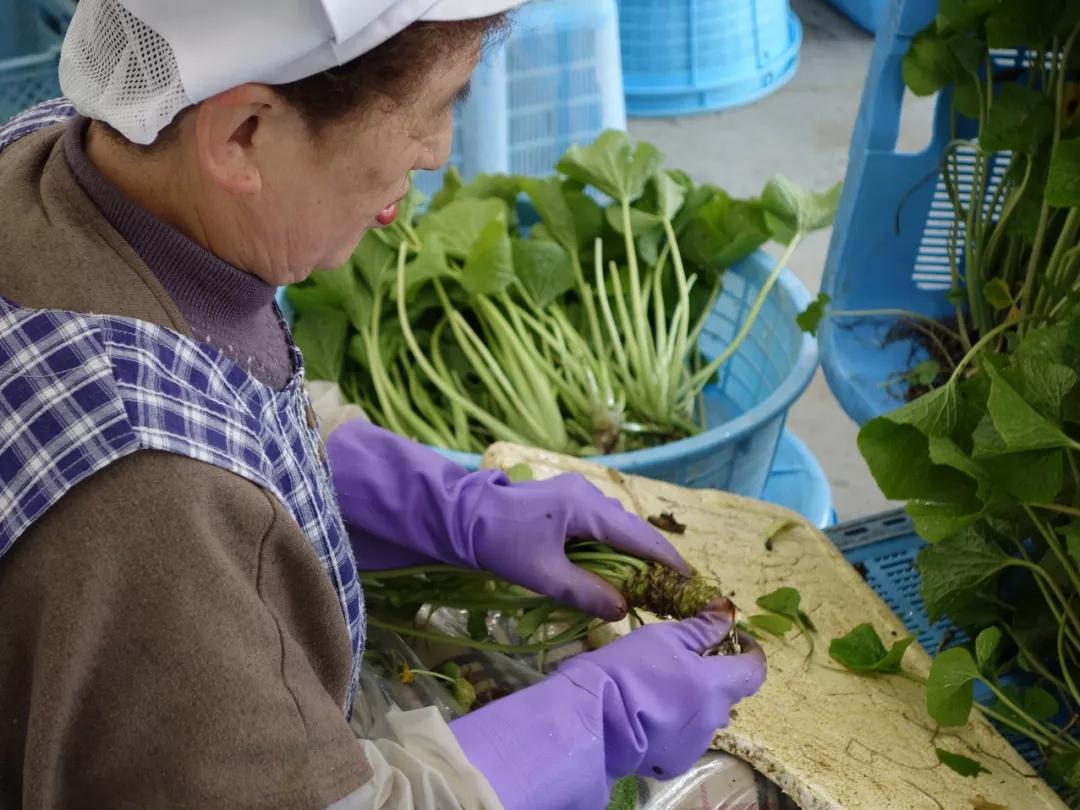 225亩公园能容纳多少人,225亩荒地