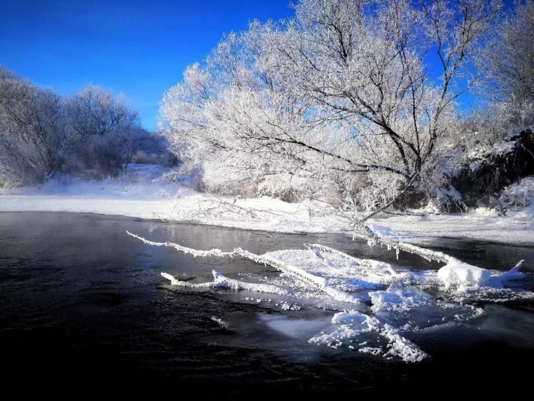 解读谜一样的大兴安岭，触手可及却又掩着神秘的面纱不肯轻易示人