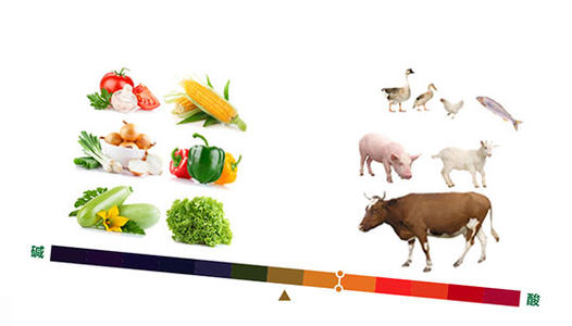 护肤小知识:如何平衡人体的酸碱平衡?