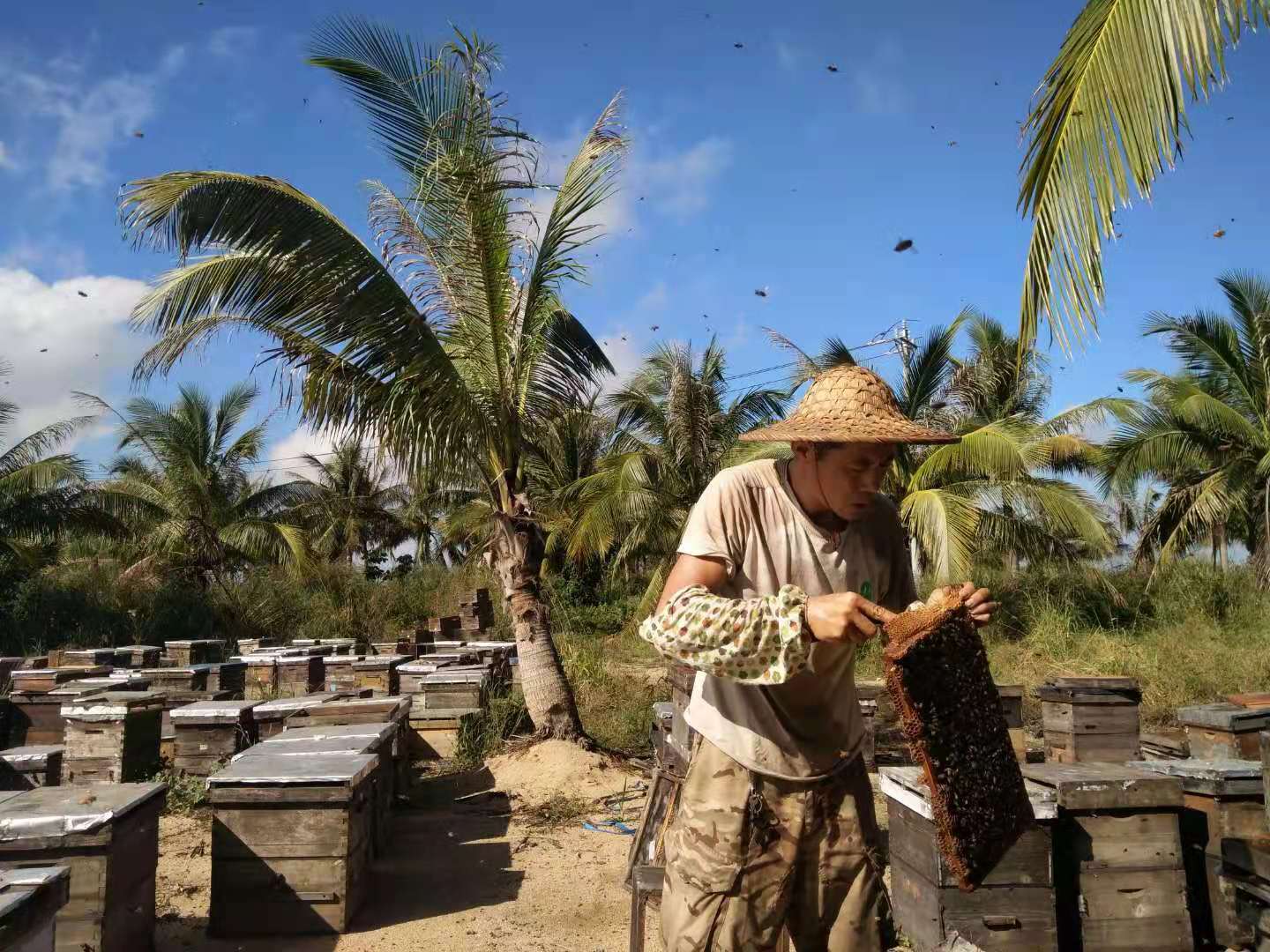 一瓶好蜂蜜，应该多少钱？