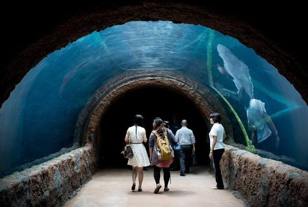 新加坡三个动物园哪个最好,新加坡动物园哪个最值得去看