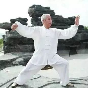 传统太极拳技击术揭秘,浅谈太极拳的特点1000字