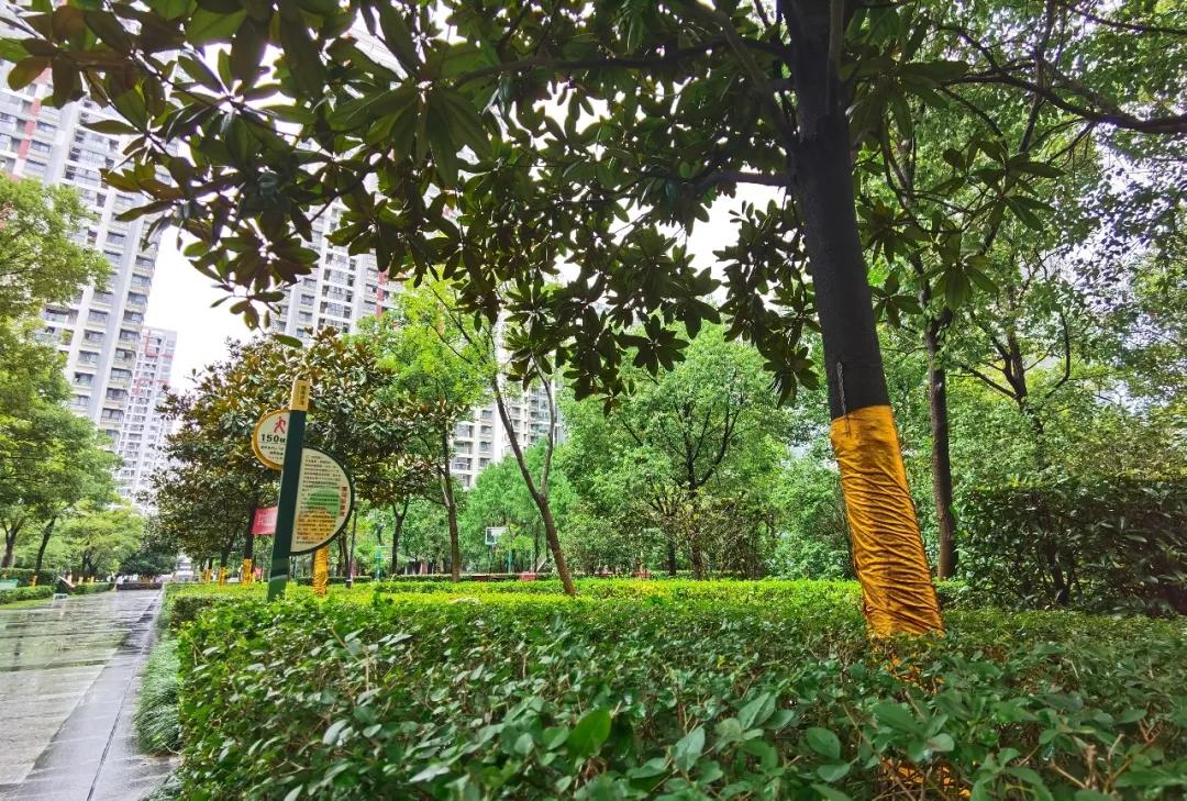 今天,我要好好夸下无锡这个学区房的物业