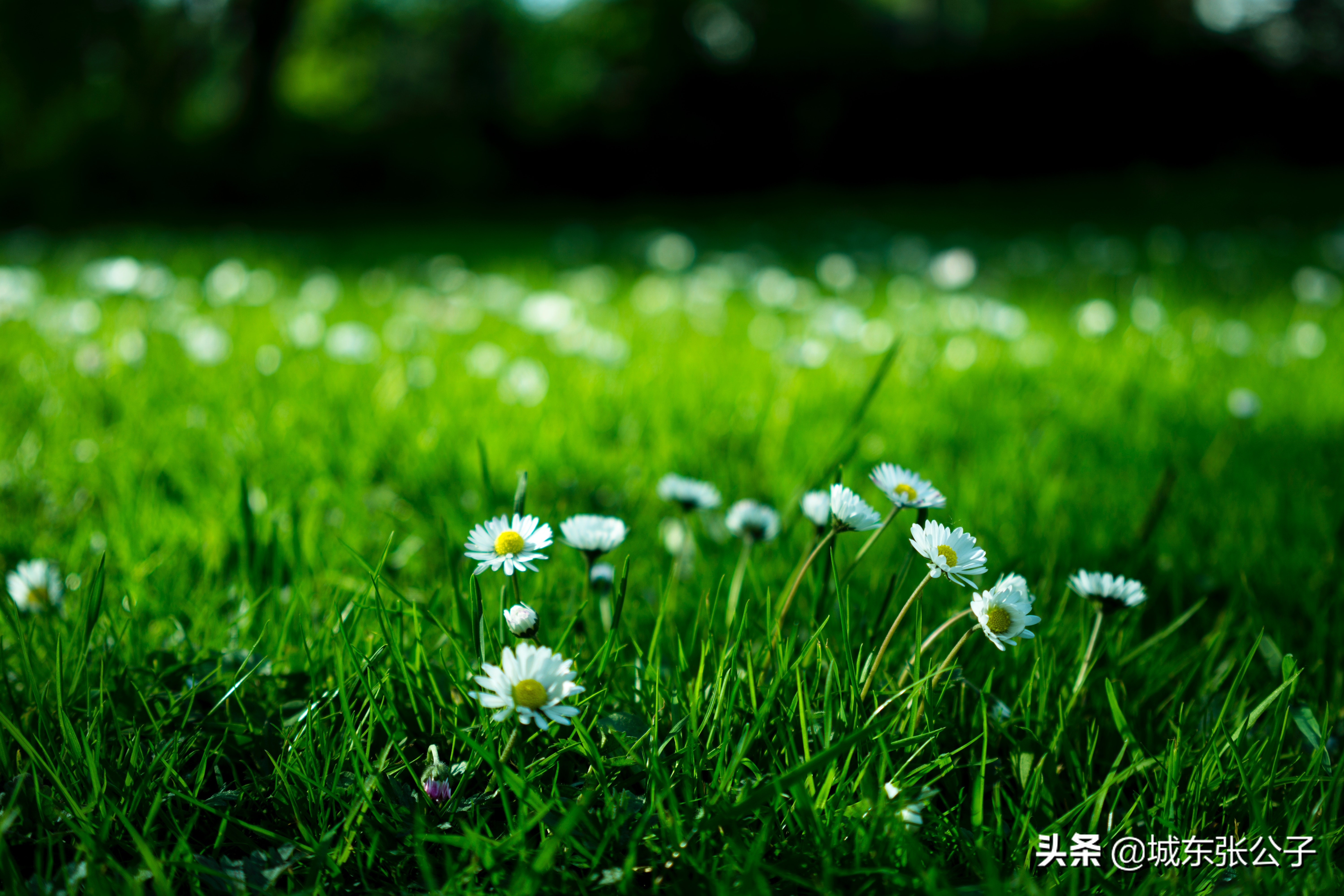 心理不成熟的男人表现,对待心智不成熟的男人怎么办