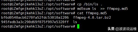 生产环境和测试环境不一致,怎么用md5sum检查传输文件