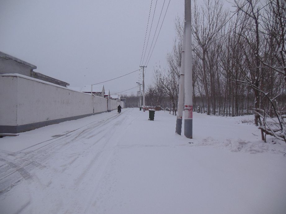 诗歌等一场雪的到来,一场雪的到来