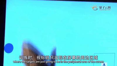 弱视一定需要进入弱视矫正训练,svi视觉训练