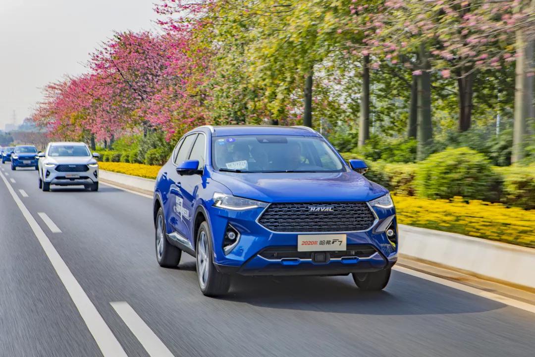 冬季旅行可自驾城市,自驾冬季旅游城市推荐