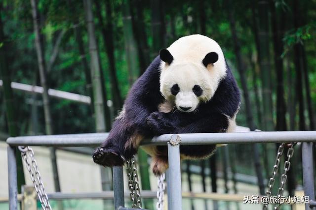 天目湖加南山竹海哪里泡温泉好,天目湖度假秘境享受绝美自然山水