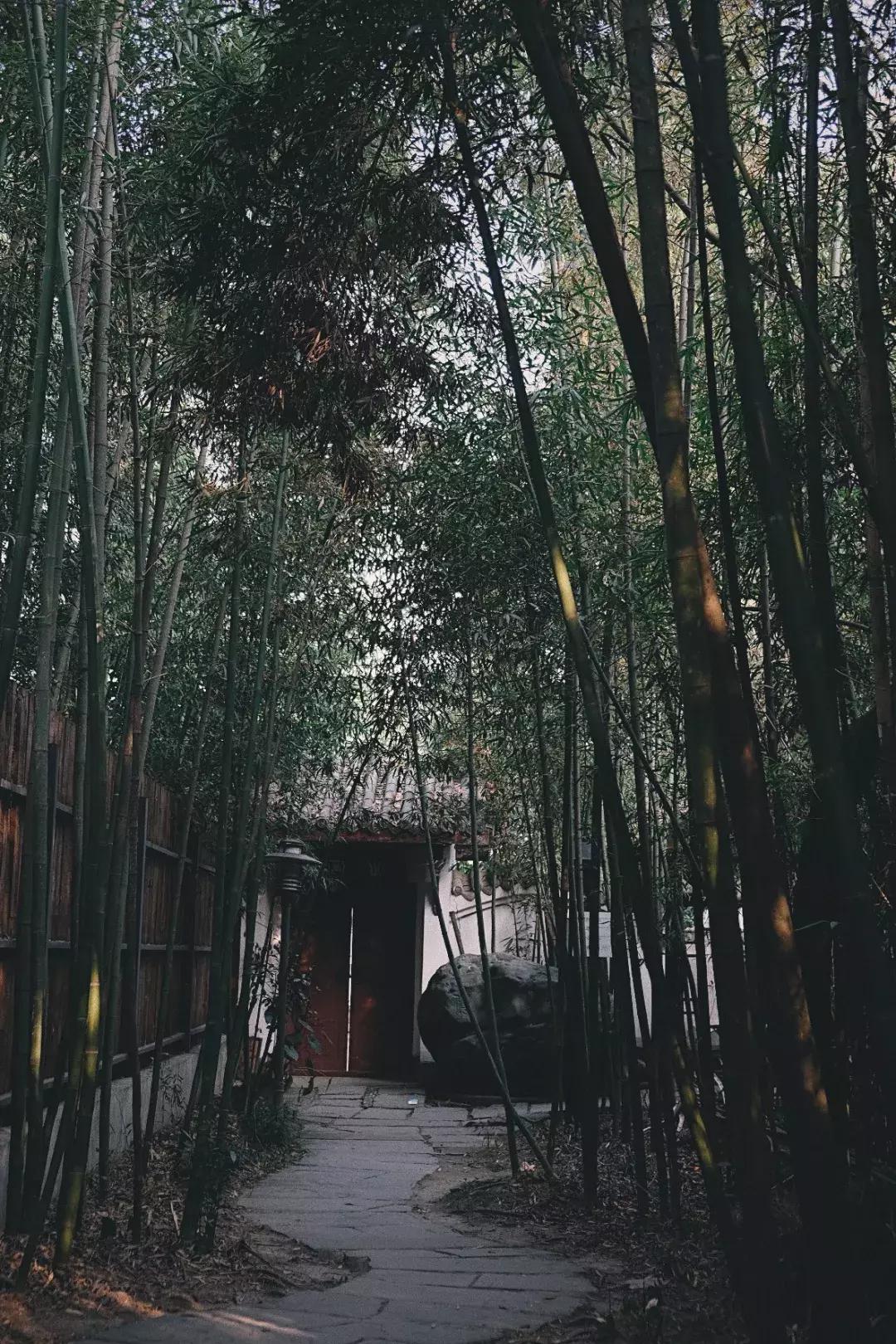 成都市区小众景点免费,成都冷门旅游景点推荐