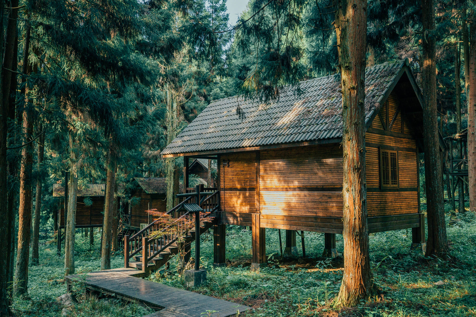 恩施坪坝营国家森林公园视频,咸丰坪坝营国家森林公园