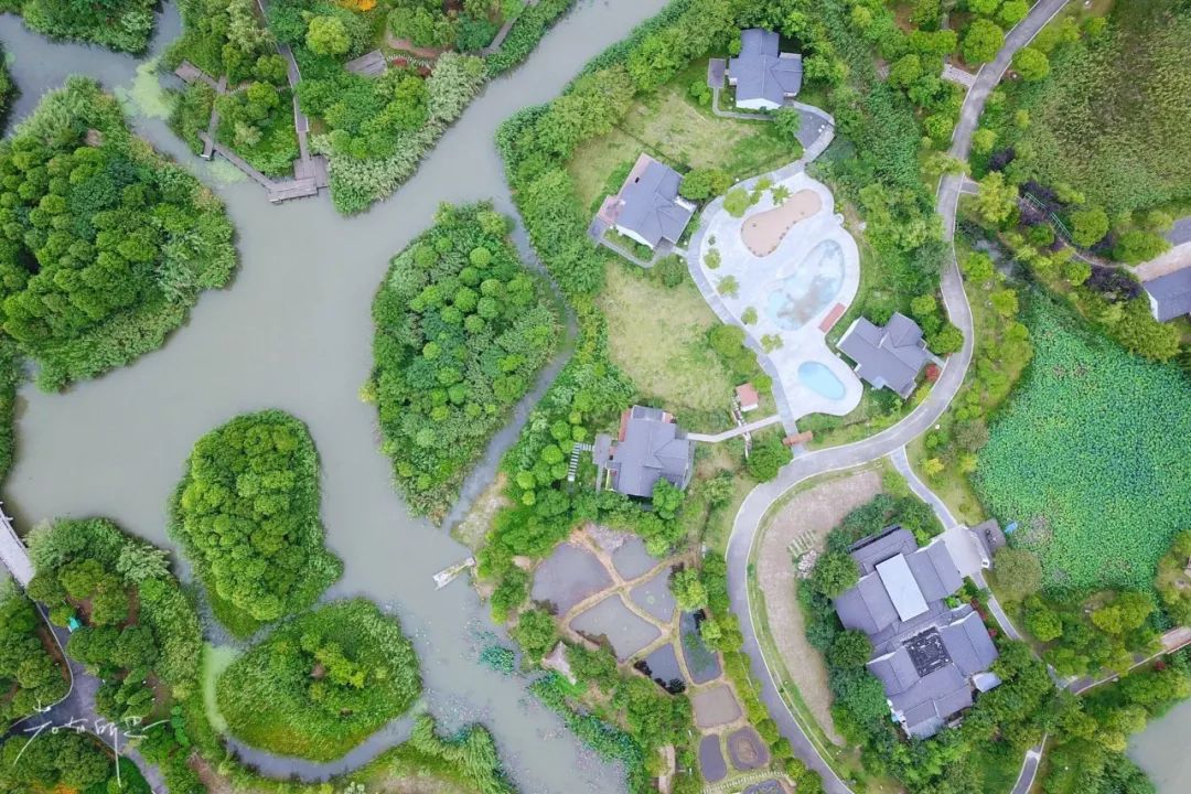 三月赏花一日游上海景点,本月上海赏花一日游最佳去处