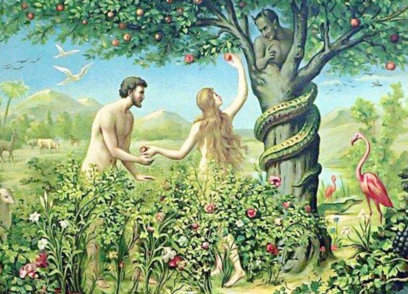 达芬奇研究人体结构手稿,探讨人体结构的奥秘