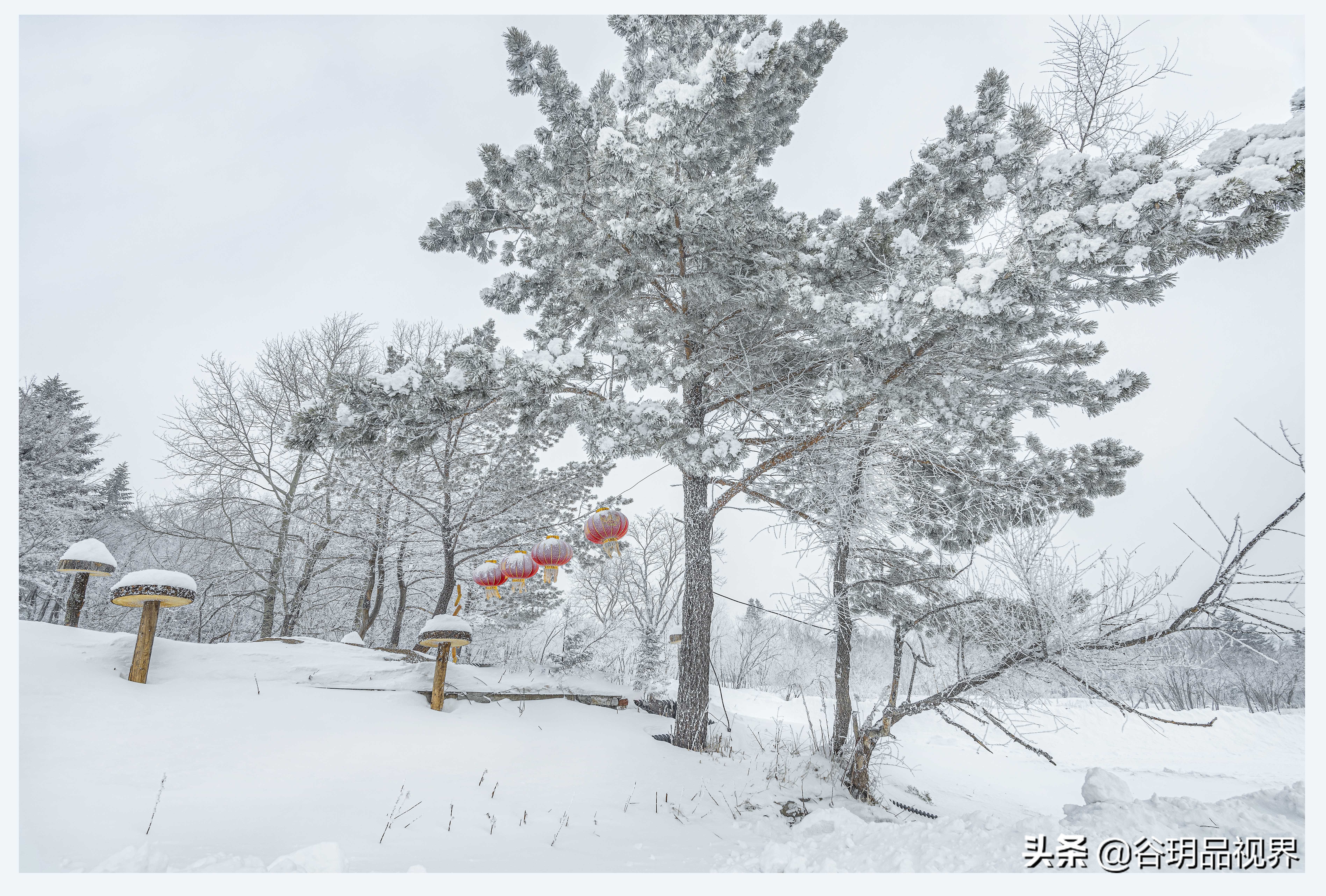 近距离拍摄雾凇视频,林海雪原拍摄照片