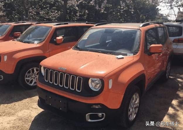 姣忓杞︿紒閮芥湁鎴块棿閲岀殑澶ц薄,姣忓杞︿紒鐨勯珮绔搧鐗岃溅