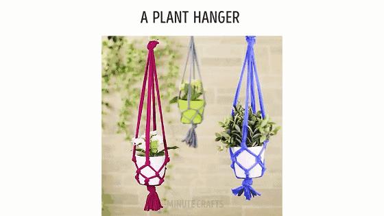 水培蔬菜家庭阳台种菜超简单,不用土在家种菜简单方法