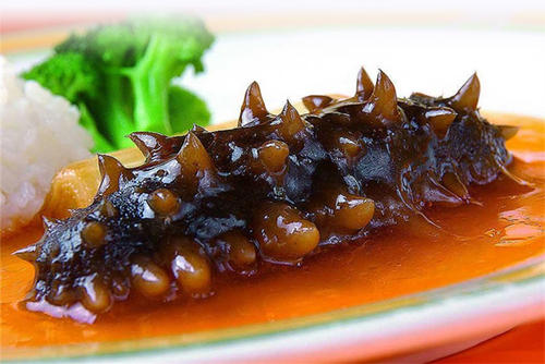 世界哪种海参最有营养,全世界海参的种类哪种最好吃