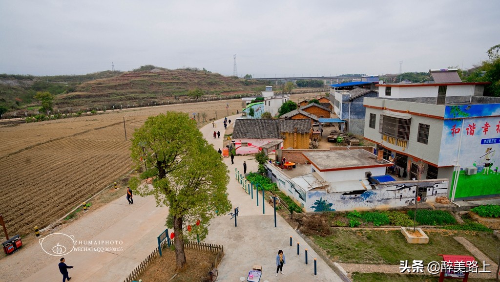 暖暖广东｜马市小吃文化节，红梨缤放新活力