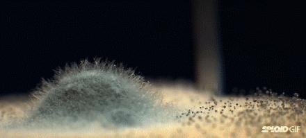 卫生间装修必备东西推荐,现在最流行的卫生间大气又实用的