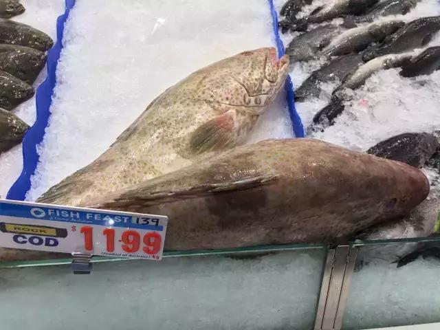 同等收入国内与国外生活对比,国内生活好还是在澳洲生活好