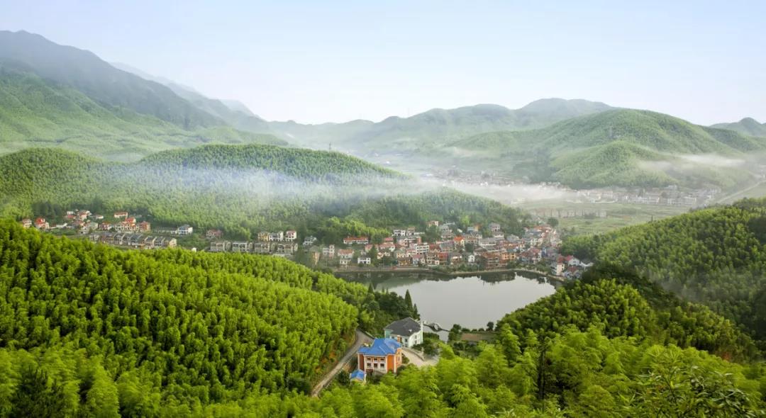 杭州西湖桃花源四合院,绿城桃花源山居合院在哪里