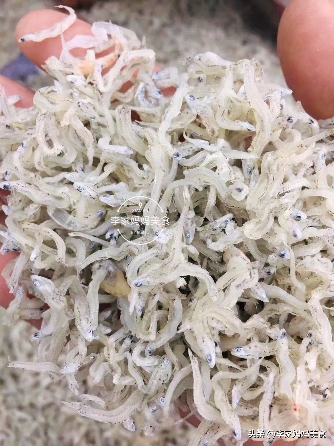 沿海特色海鲜,沿海海鲜推荐