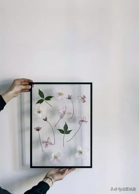 手工课堂：手把手教你做干花标本，比花钱买来的画好看十倍