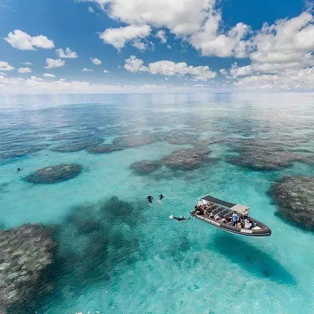 世界著名建筑悉尼歌剧院,悉尼歌剧院著名演出