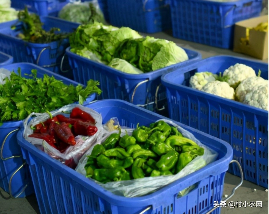 29个适合农村致富的小本创业项目,农村创业干什么致富最快