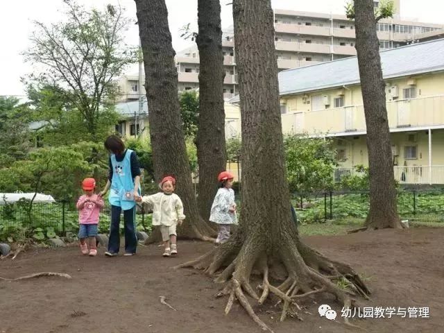 令人震撼的日本幼儿园,让人震惊的日本幼儿园素质课训练