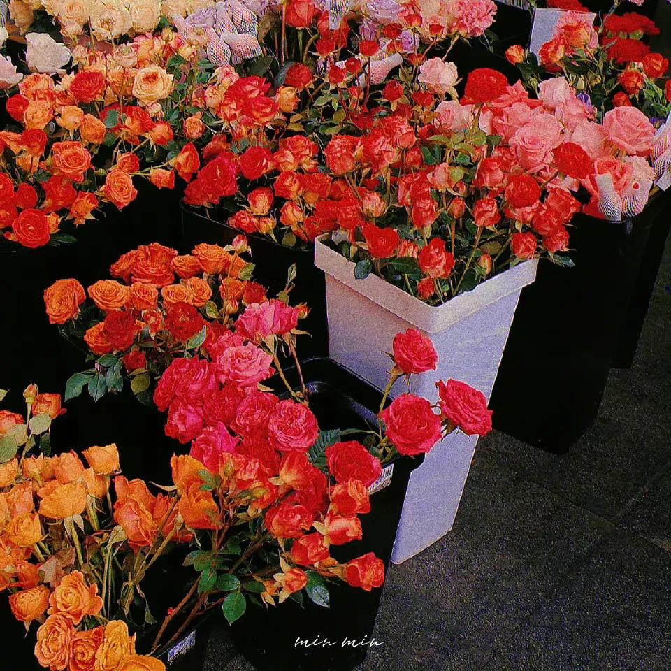 1分钟了解结婚全流程,正确结婚流程最全详细步骤