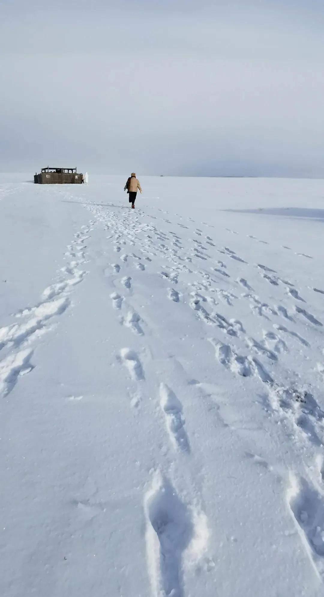 如果2月可以畅快出行，我真想走遍国内这9个地方