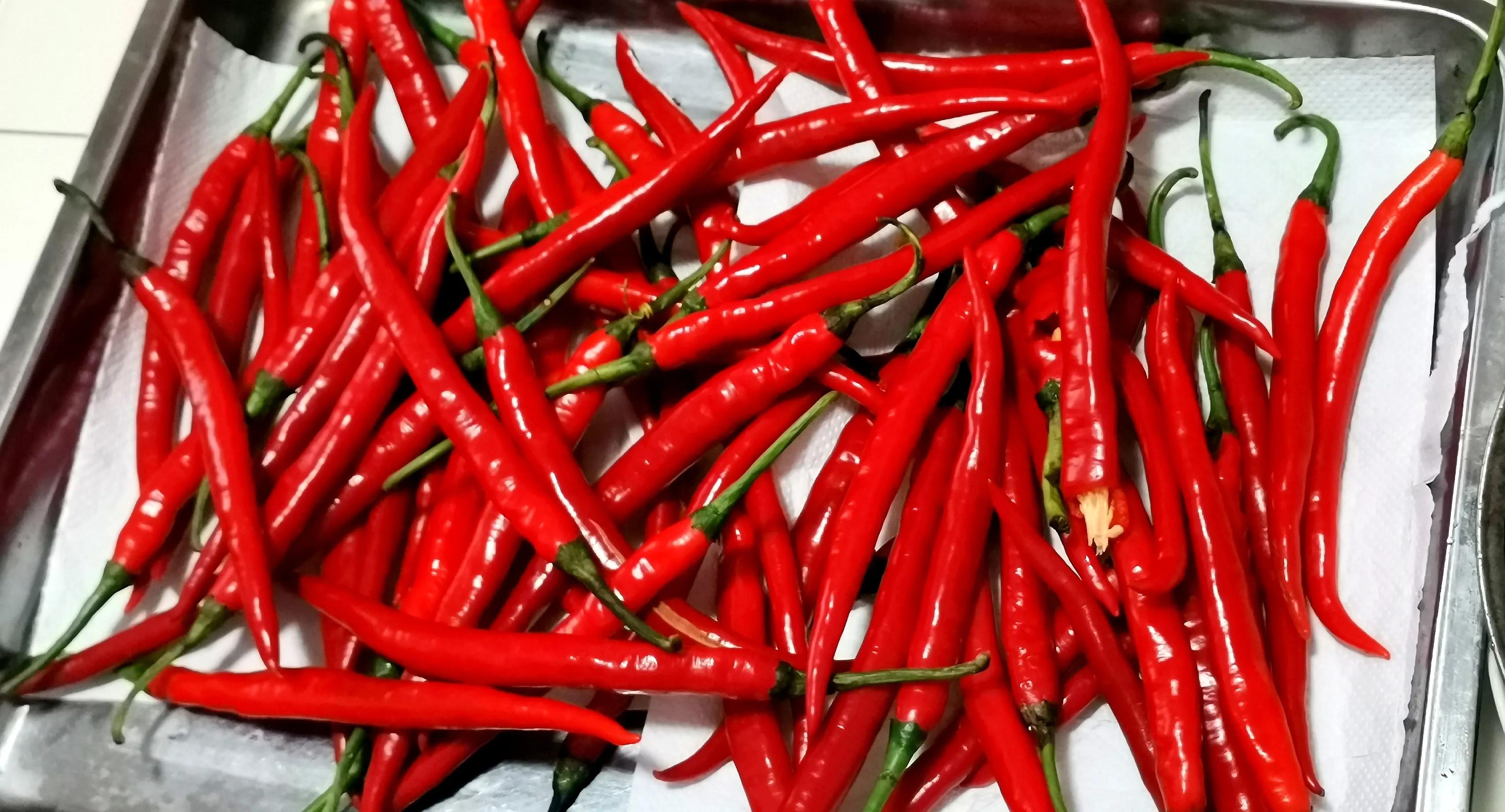 辣椒酱最正宗的做法家庭版,辣椒酱的家常做法拌饭