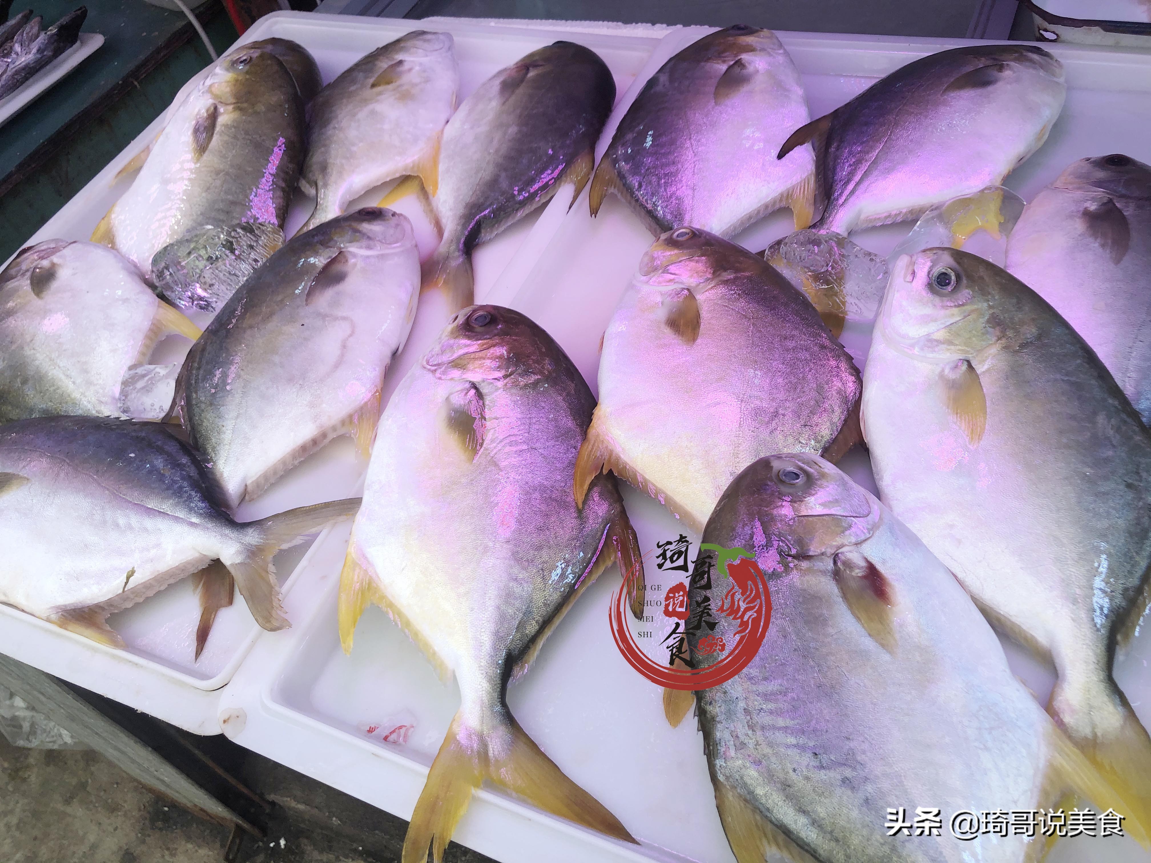 买海鲜防坑的最佳方法,买海鲜防坑指南