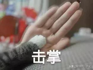 什么时候买东西打折,什么时候去买打折的衣服便宜