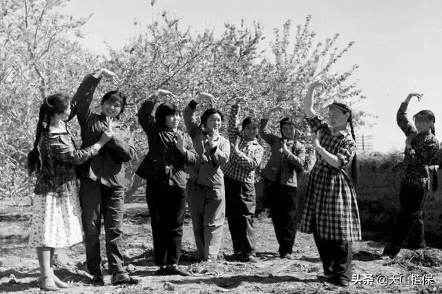 伟大的新疆,伟大的阿勒泰