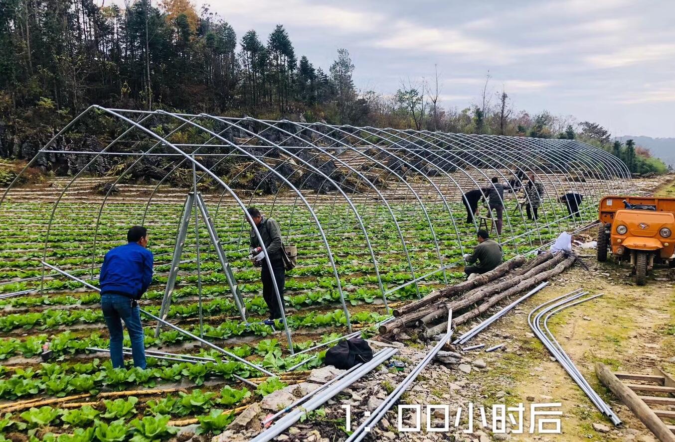 蔬菜大棚最省钱的建造方法,钢结构蔬菜大棚造价每亩多少