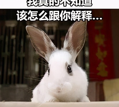 剑网3情缘语录,剑网三情缘语录