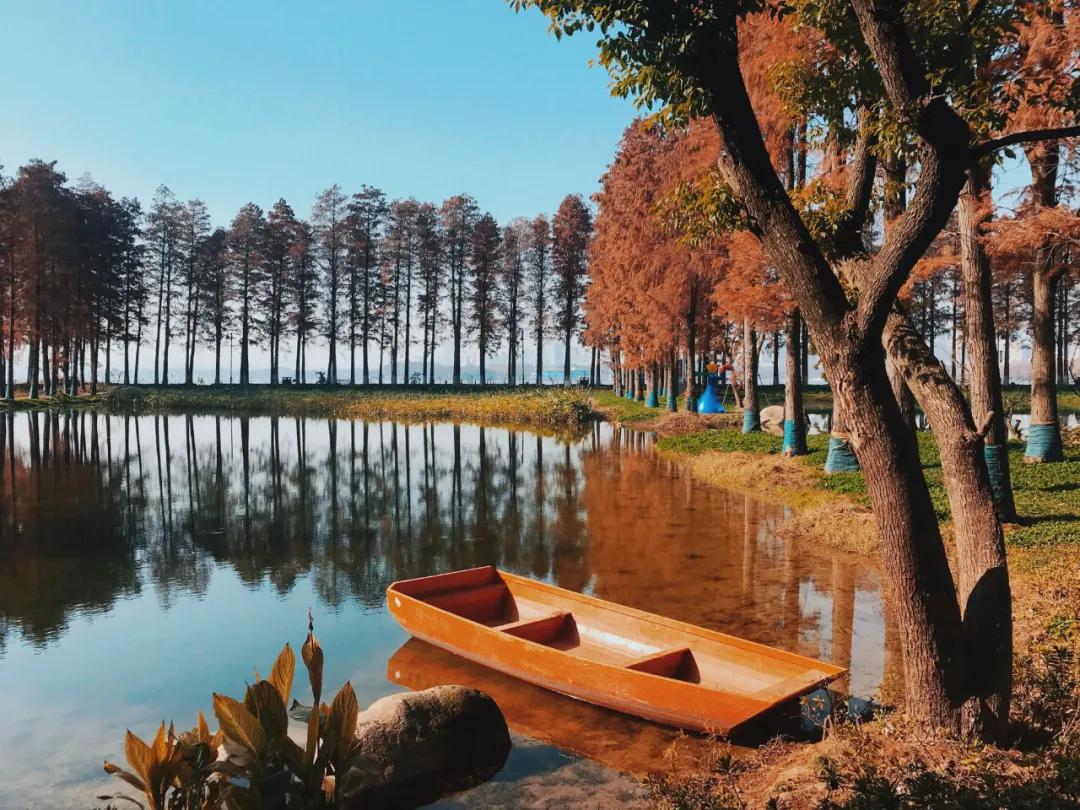 到公园去享受阳光享受生活,从公园到公园