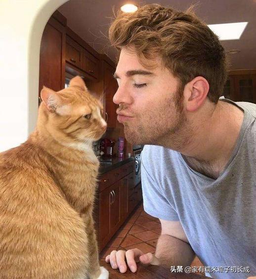 如何对付怀孕母猫,如何化解老婆和家人矛盾