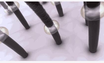 头发蓬松茶树油洗发水,油头救星澳洲茶树洗发水