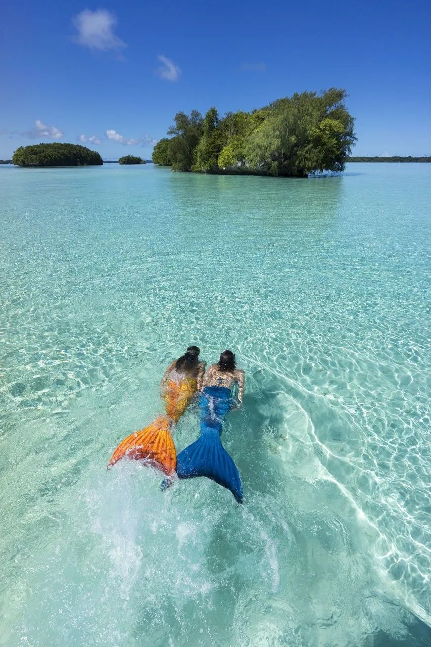 潜水圣地推荐帕劳,帕劳潜水旅游攻略