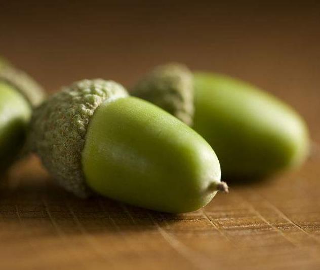 老祖宗教你怎样做人处事,为人处世必须明白的十大忌