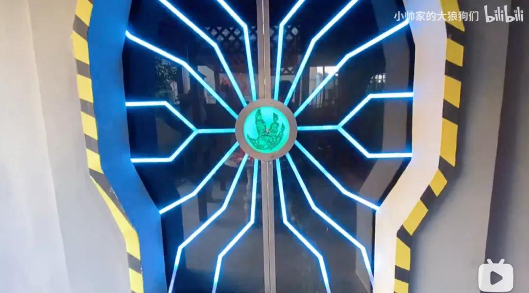 花三年建宠物乐园,花20万给狗打造乐园