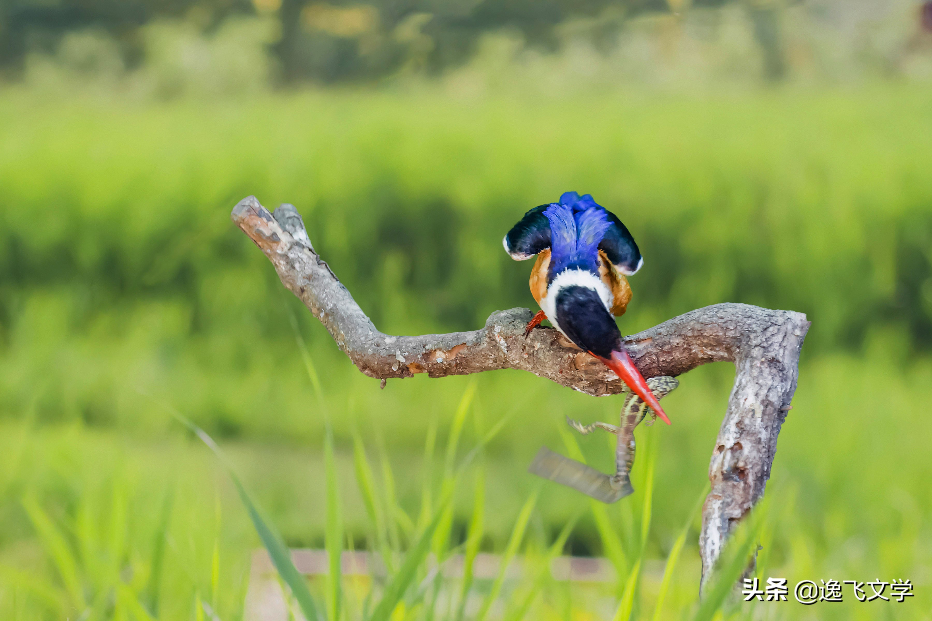 摄影纪实战争,摄影现代战争