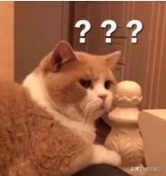 厦门异地报销流程,厦门社保省内异地住院报销