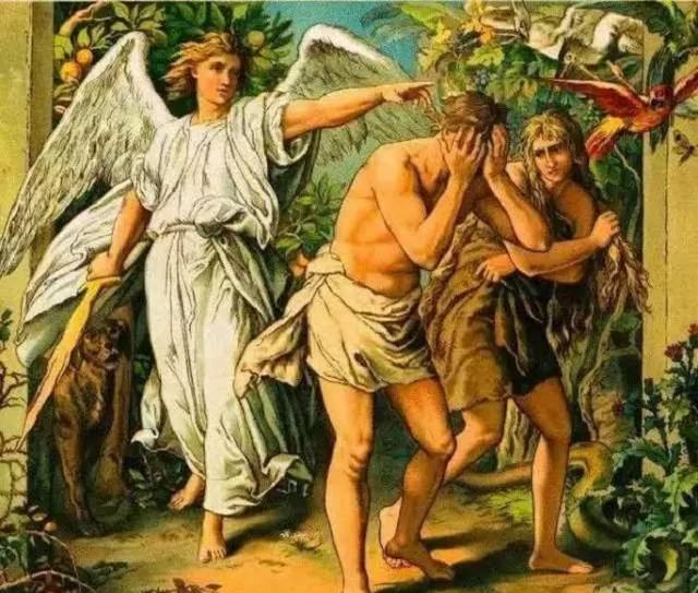 地球历史第一个人,地球第一个人类怎么来的