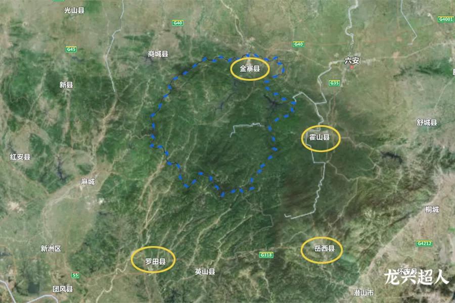 安徽道地药材天麻,天麻的道地药材